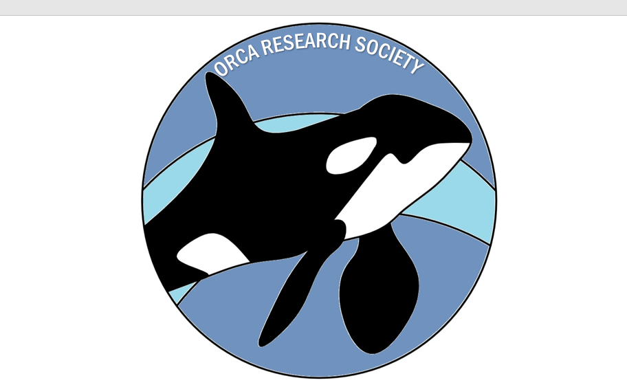 orca logo finished-15mh3nf