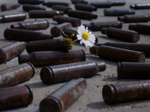 Flowers and Bullets